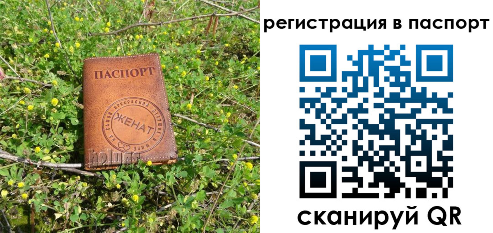 прописка законно в Сосенском